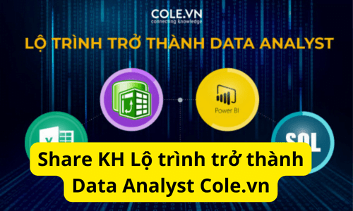 Khóa học Data Analyst - Level A Cùng Cole.vn