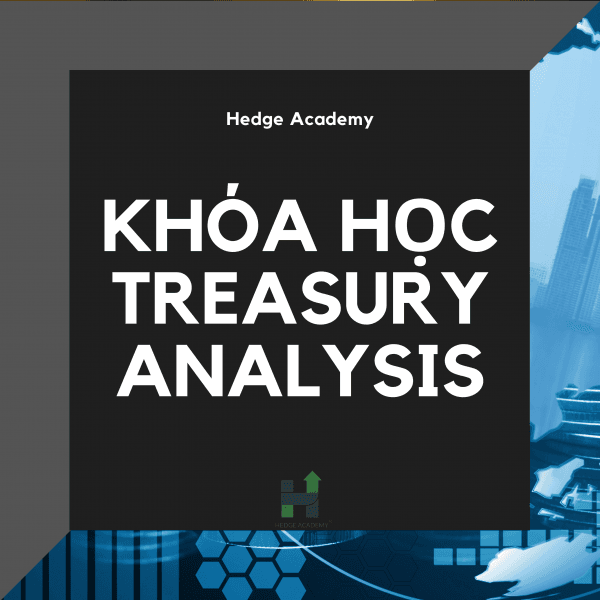 Khóa Học Treasury Analysis Cùng Hedge Academy