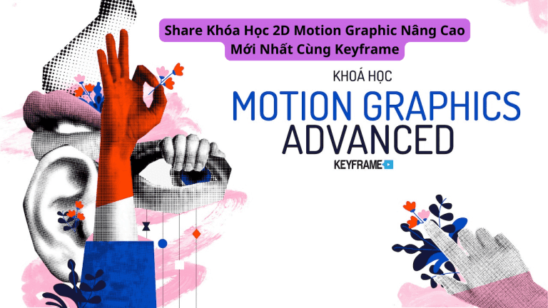 Khóa Học 2D Animation & Motion Graphic Nâng Cao Mới Nhất Cùng Keyframe