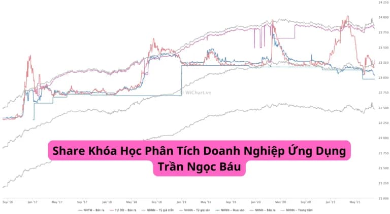 Khóa Học Phân Tích Doanh Nghiệp Ứng Dụng Trần Ngọc Báu Mới Nhất 2023