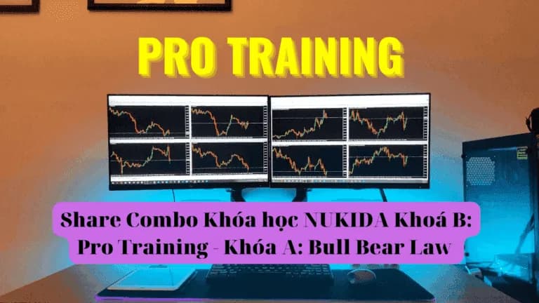 Combo Khóa học NUKIDA Khoá B: Pro Training – Khóa A: Bull Bear Law 